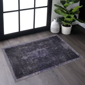 Naar 2x3, Machine Washable Area Rugs, Low-Pile, Non-Slip, Non-Shedding, Foldable, Kid & Pet Friendly - Area Rugs for living room, bedroom, kitche